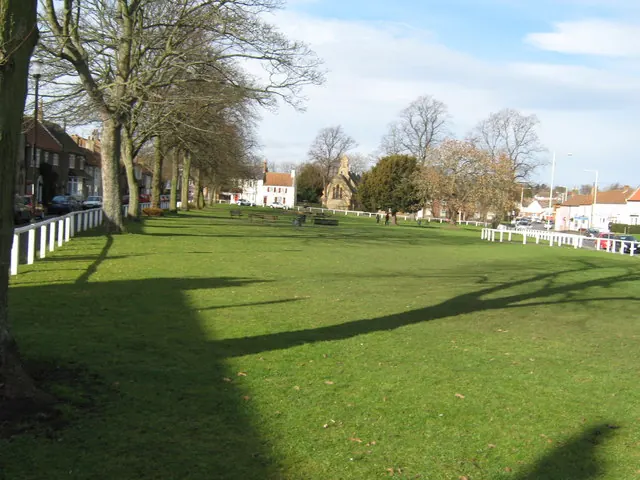 Cockerton Village Green, in the Cockerton Village Conservation Area, Darlington