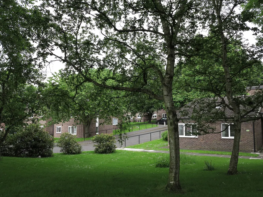 Grassed area with trees, Hummersknott, Darlington